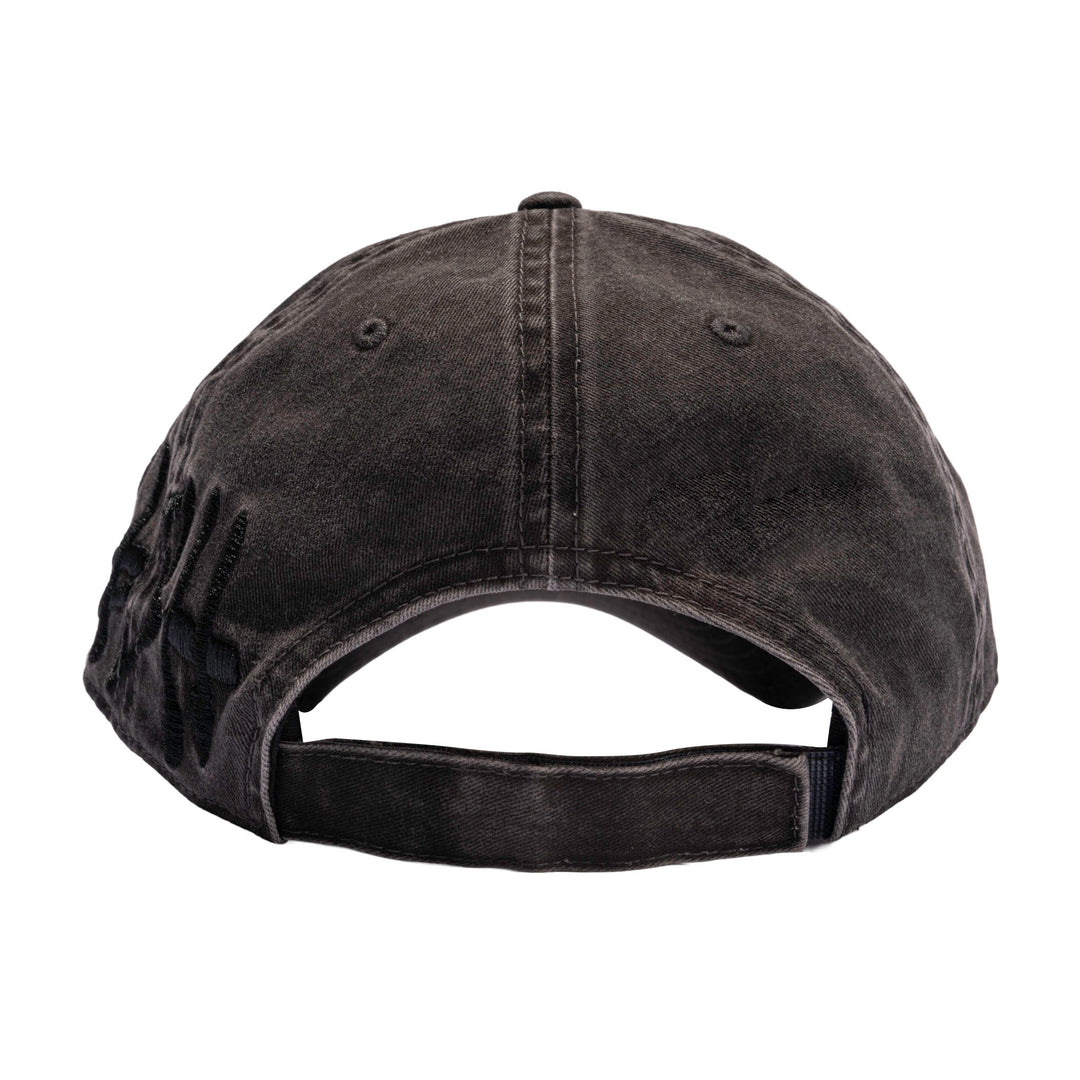 Framework Dad Hat